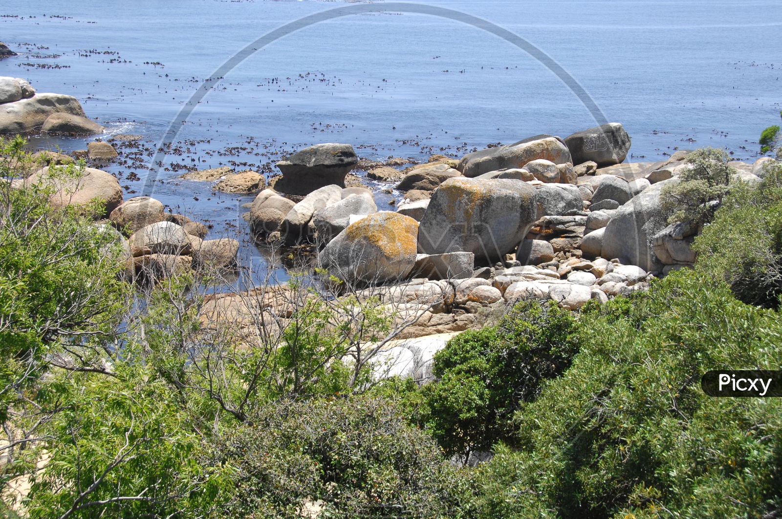 Shore with rocks and trees around