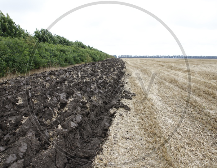 Dried up fields alongside the mud blocks
