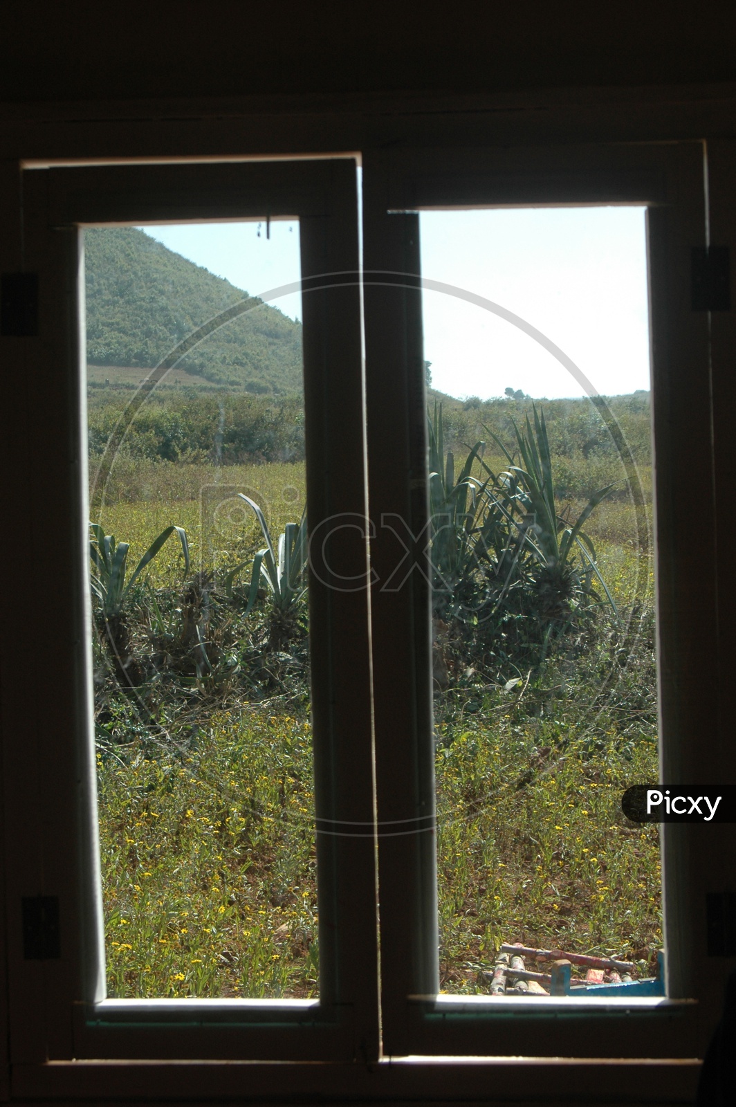 View of the meadows in the Araku valley through a glass window