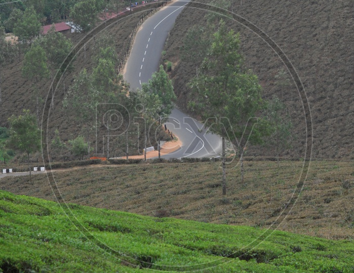 Roads with Curves In Munnar
