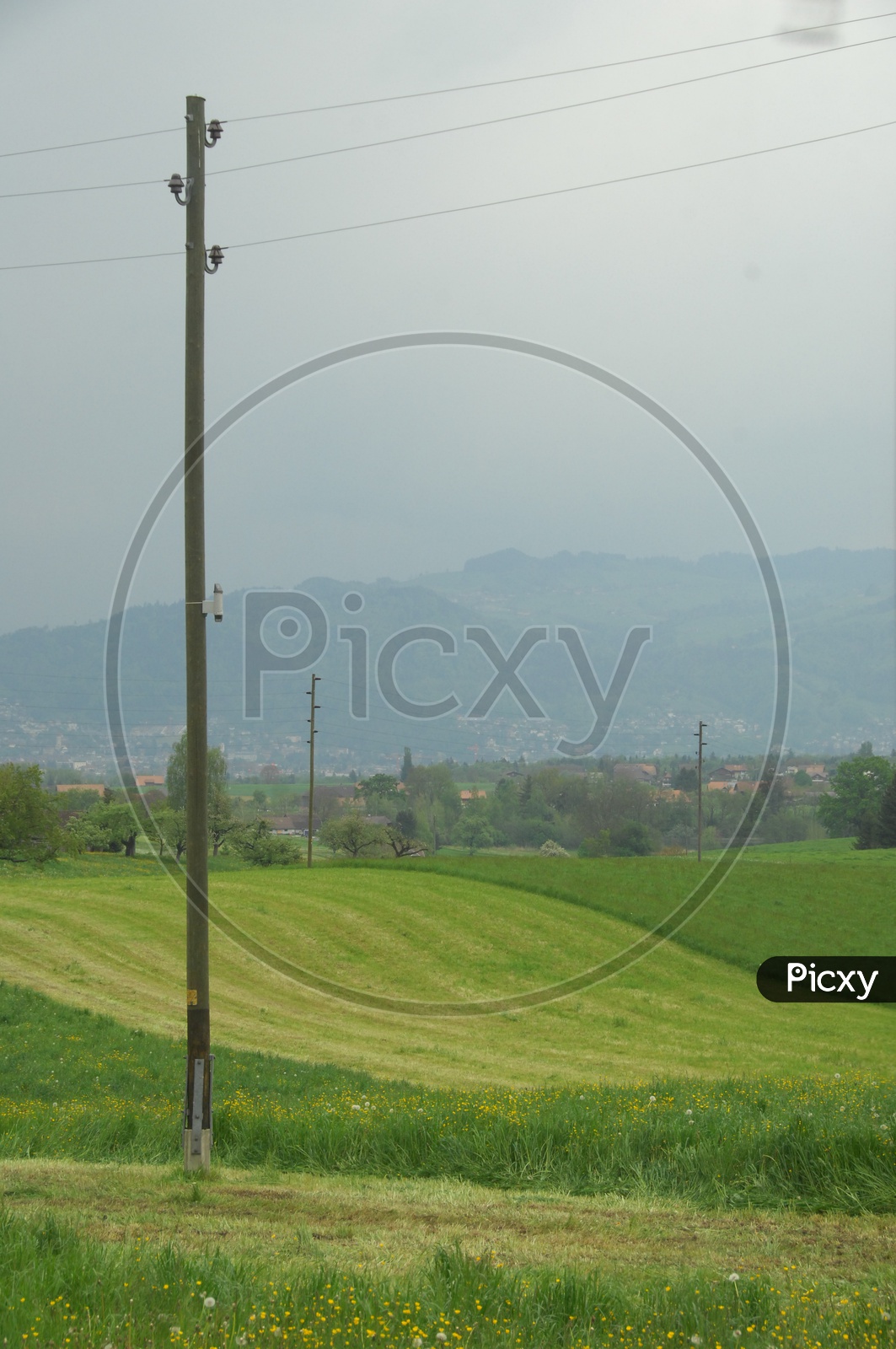 Electric Pole in the midst of a Grassland