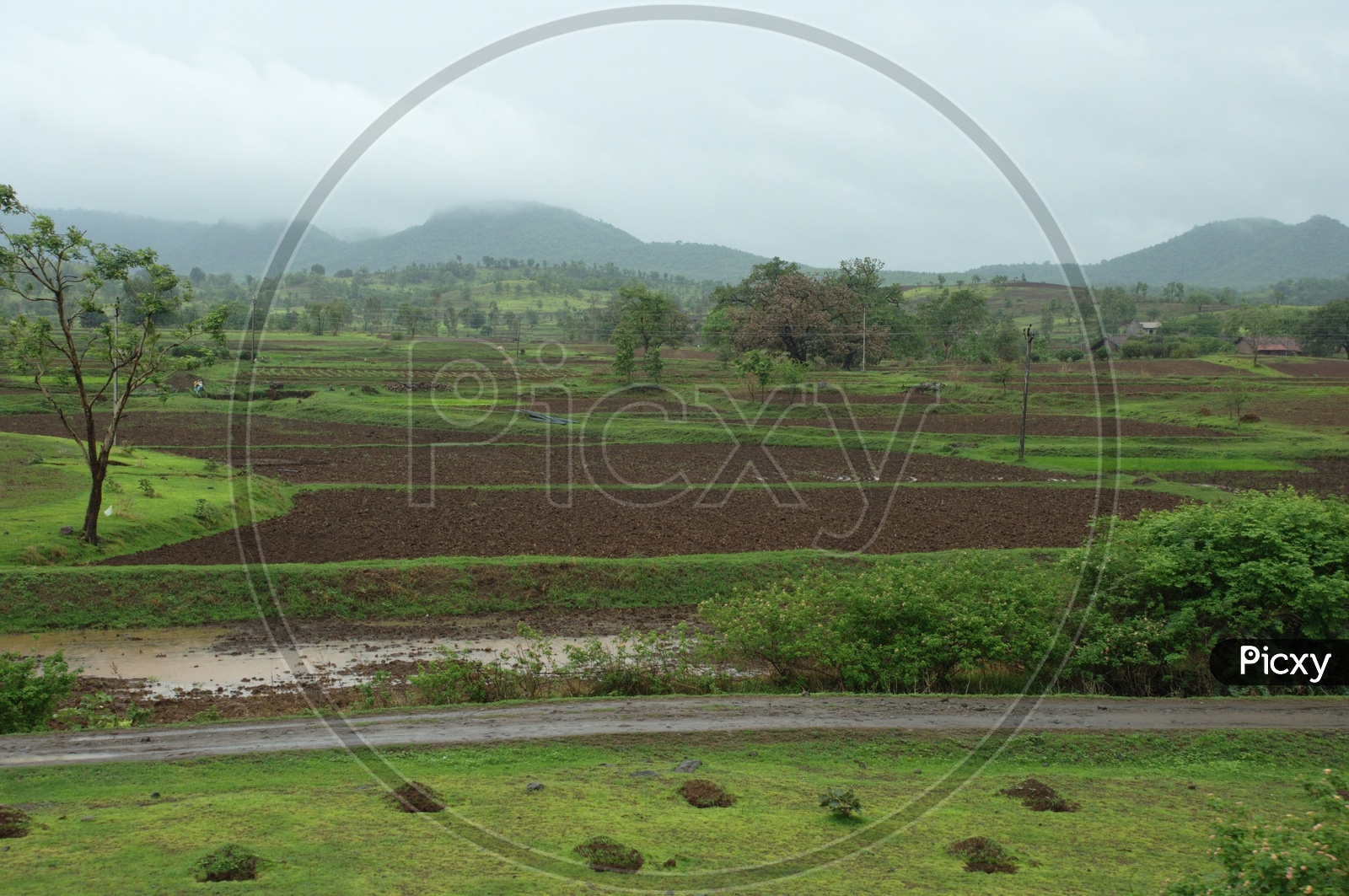 landscape view of agriculture fields