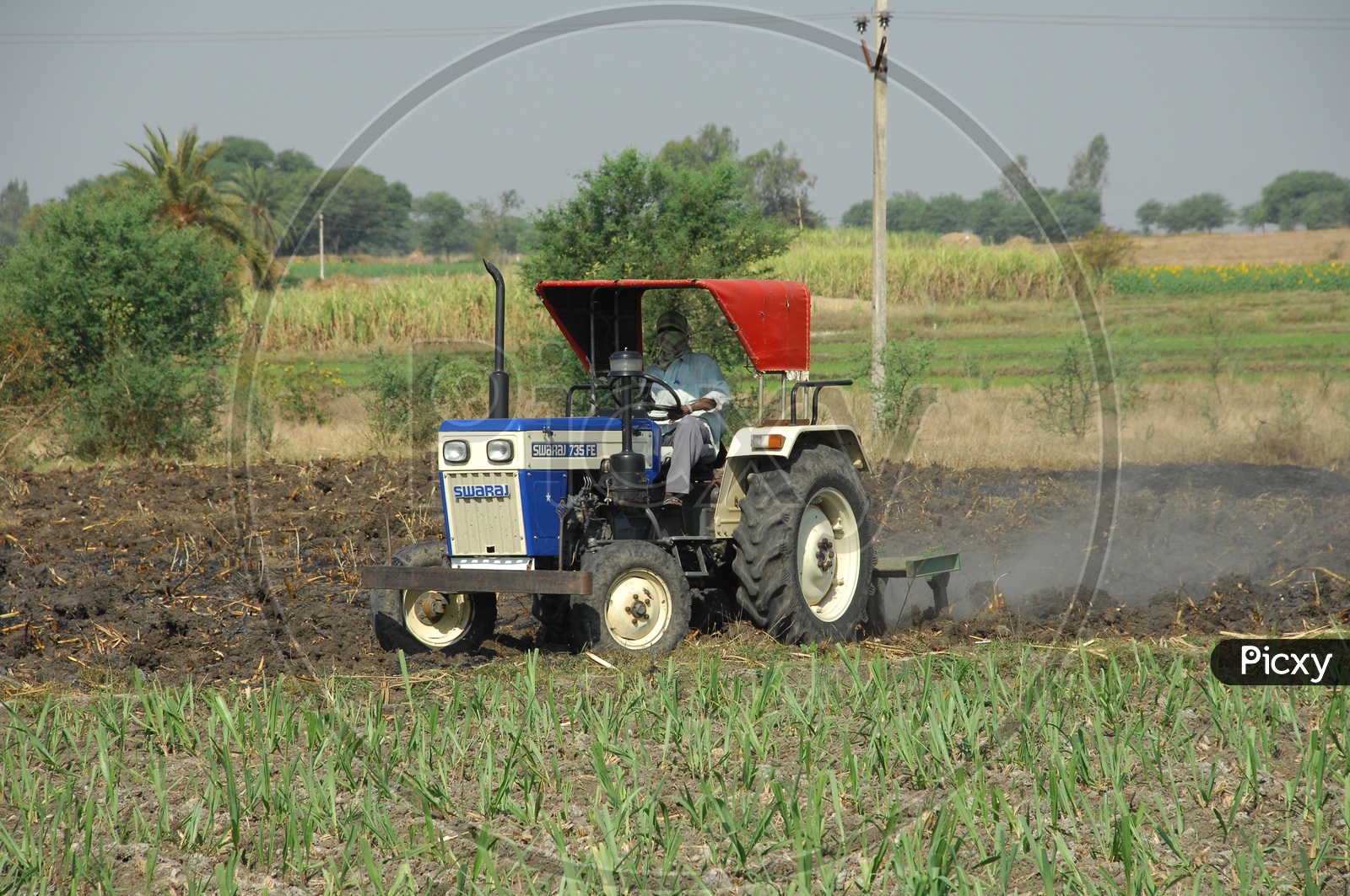 A Farmer Ploughing His Farm With Tractor in Sugar Cane Field
