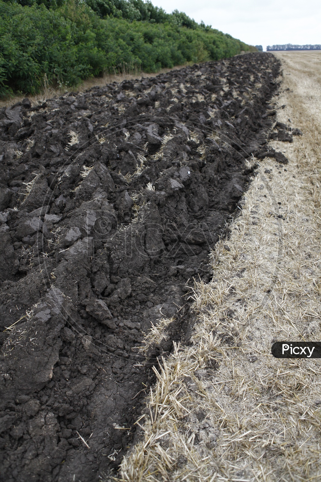 Ploughed black soil in a farm land