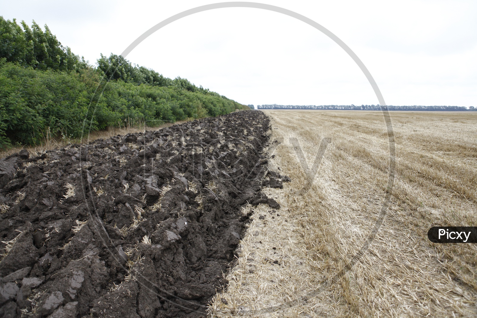 Dried up fields alongside the mud blocks
