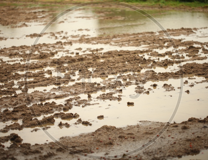 Muddy field