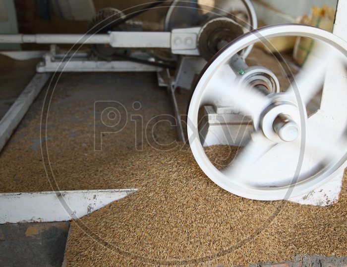 Processing Paddy in a rice mill