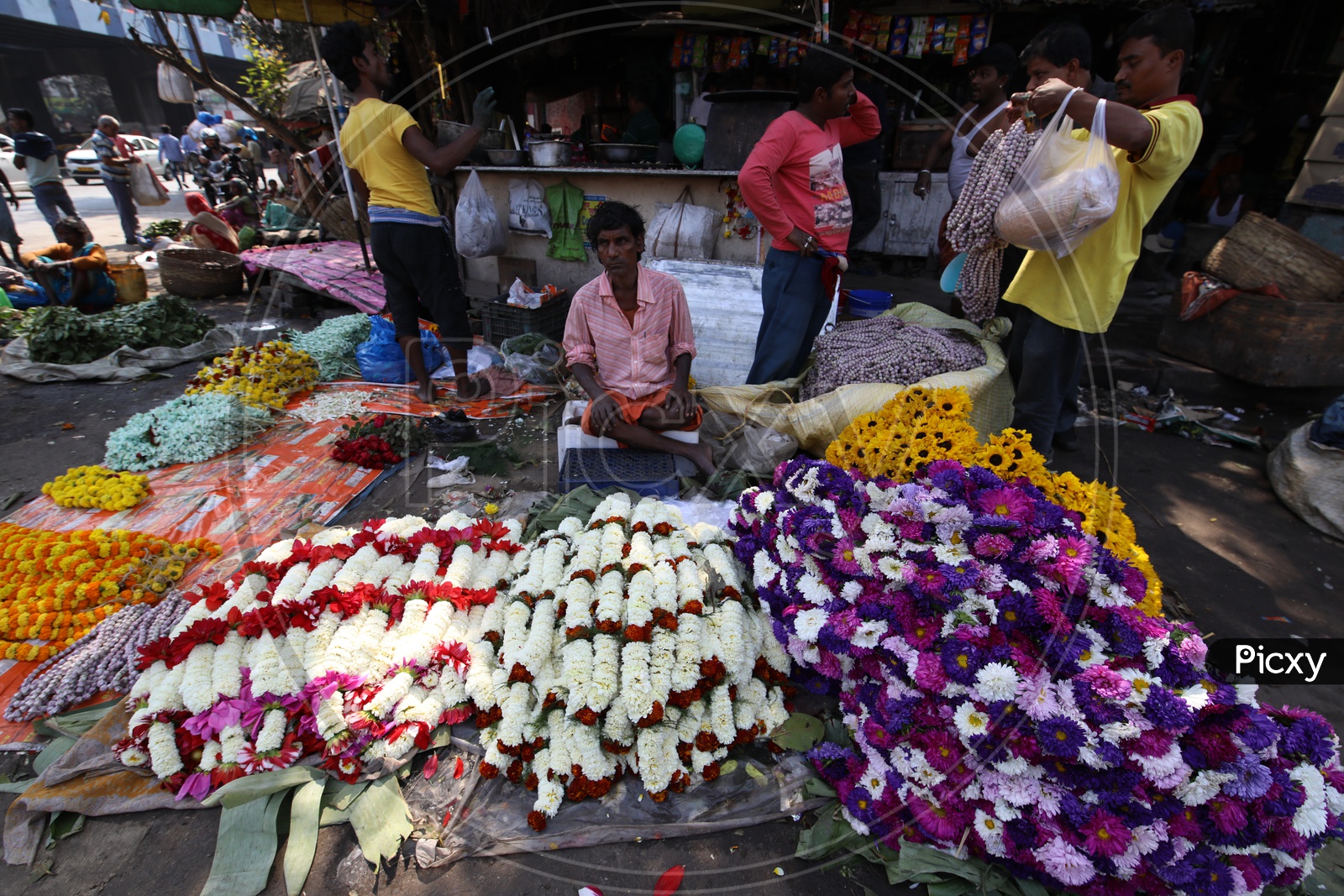 A Flowers Vendor on the Streets