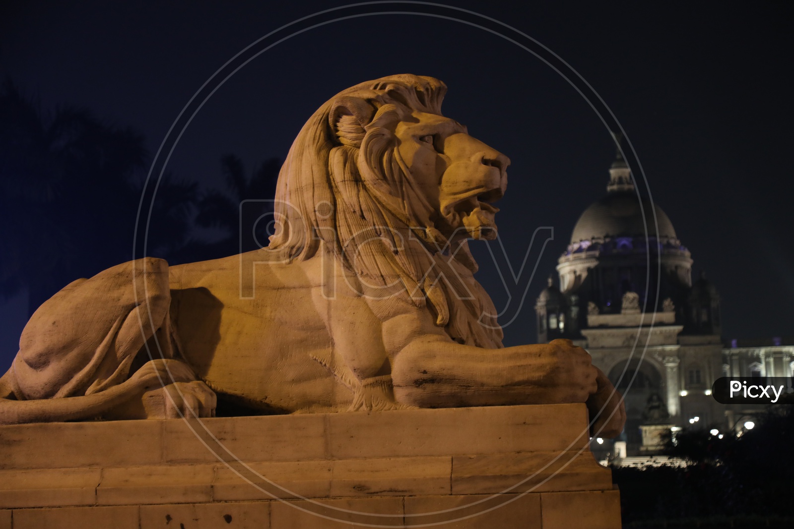 Lion Statue At Victoria Memorial