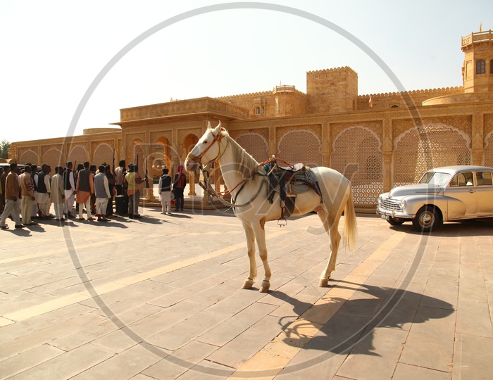 A White Riding Horse at a Mahal or Fort