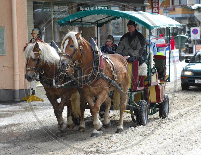 Horse Carts