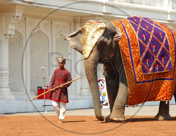 A Mahout with decorated elephant