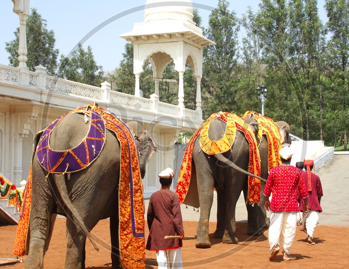 Mahouts with decorated elephants