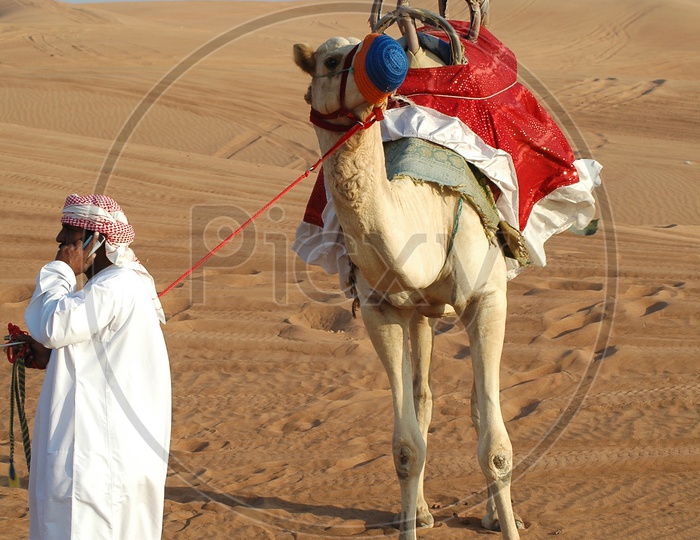 A camel herder talking on his mobile phone