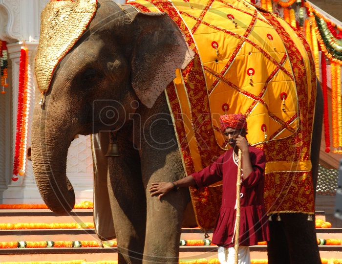 A Mahout alongside the elephant