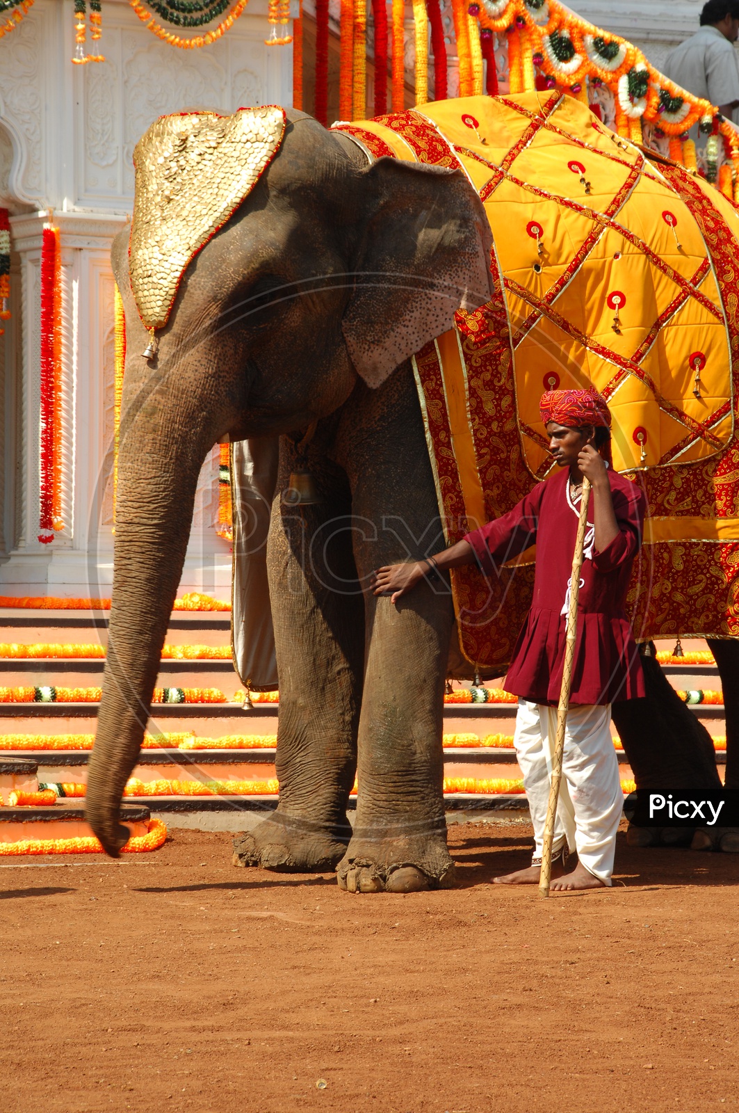 A Mahout with decorated Elephant