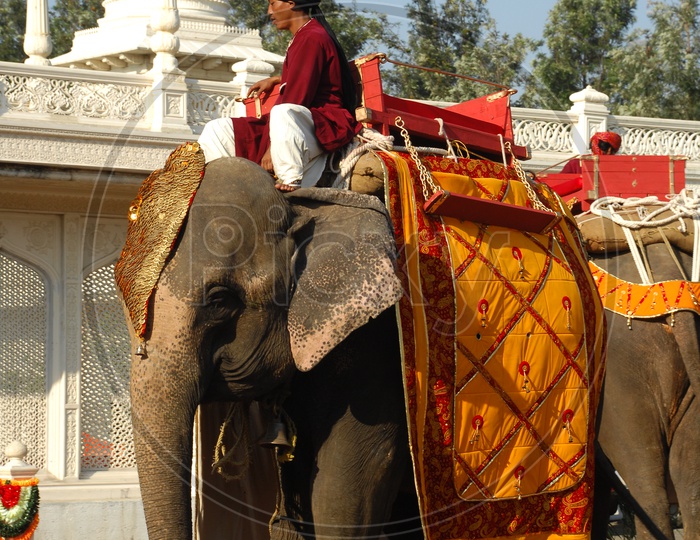 A Mahout riding the decorated Elephant