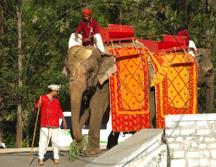 Two Mahouts with decorated Elephants