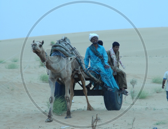 camel carrying people on a cart in a desert