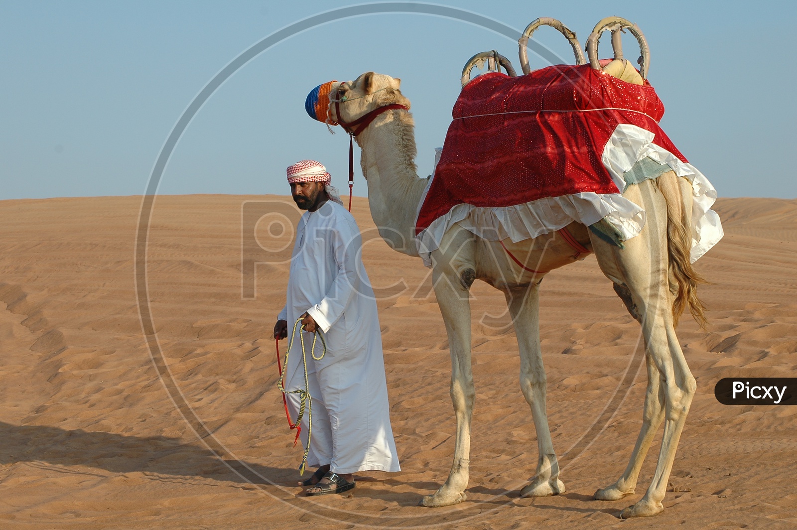 A camel herder with a camel in the desert