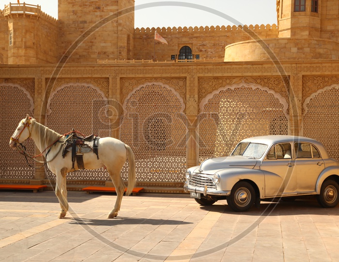 A White Horse At a Fort