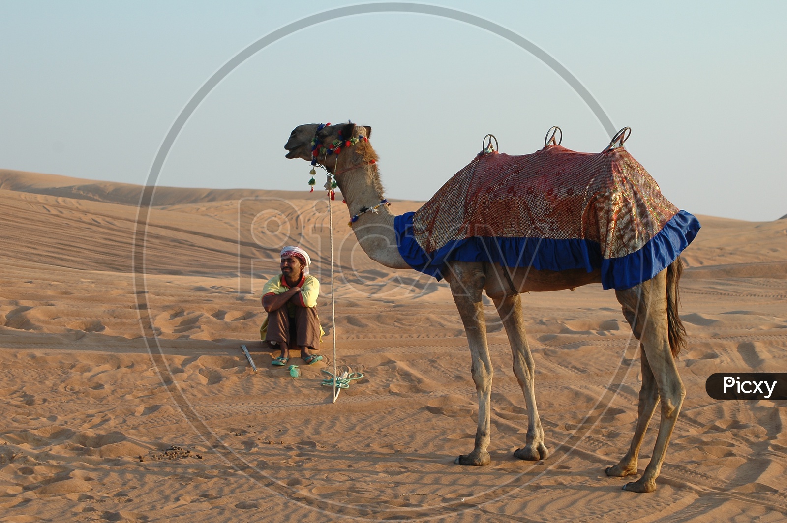Camel herder with a camel in the desert