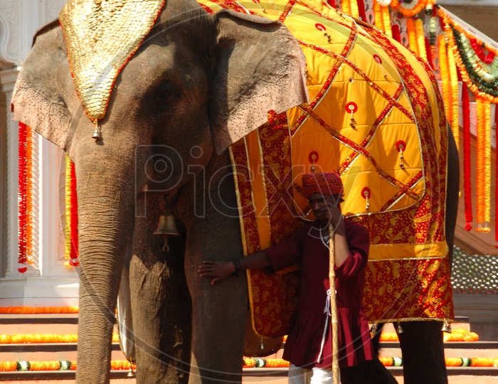 A Mahout with decorated Elephant