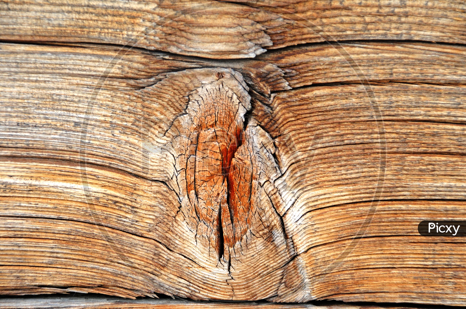 Abstract Wood Texture