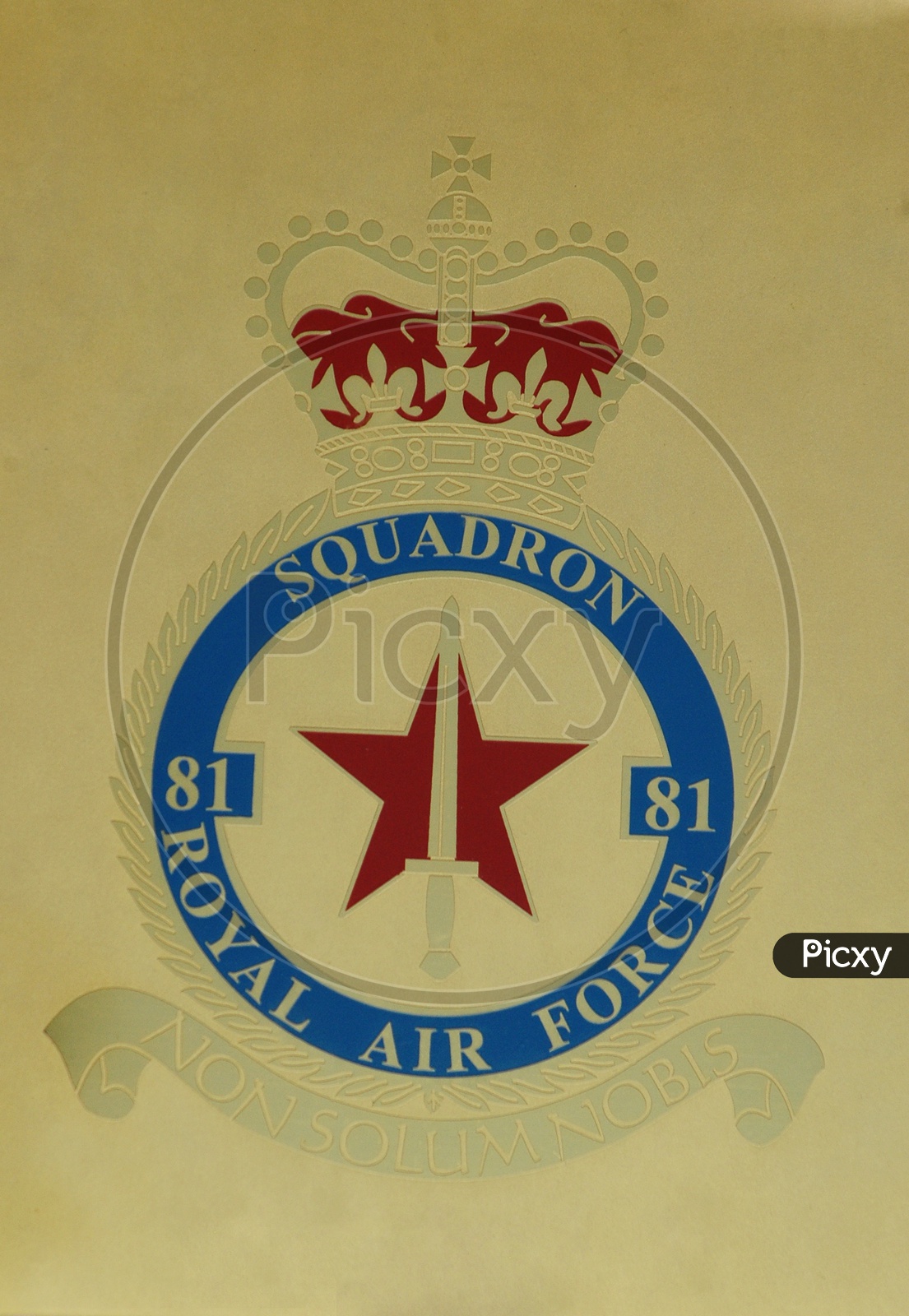 Royal Air Force 81 Squadron  Logo
