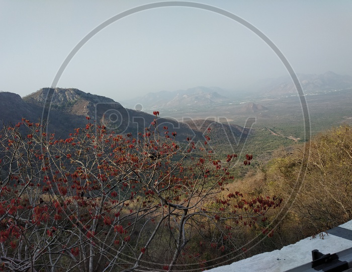 Landscape of Tirumala Hills