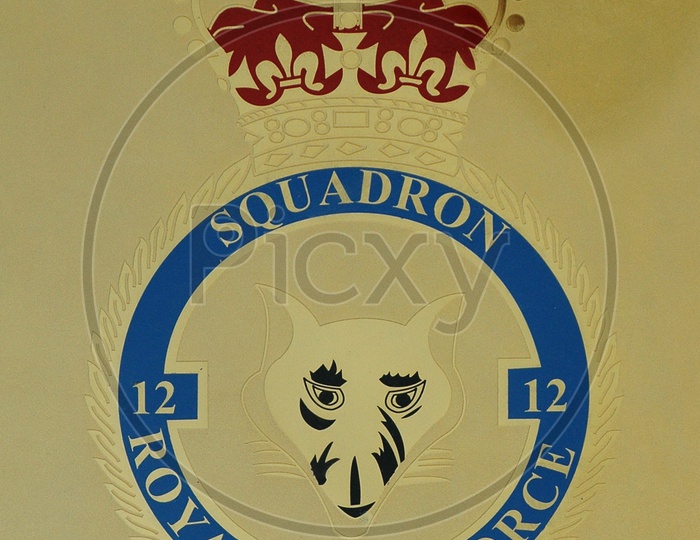 Royal Air Force 12 Squadron  Logo