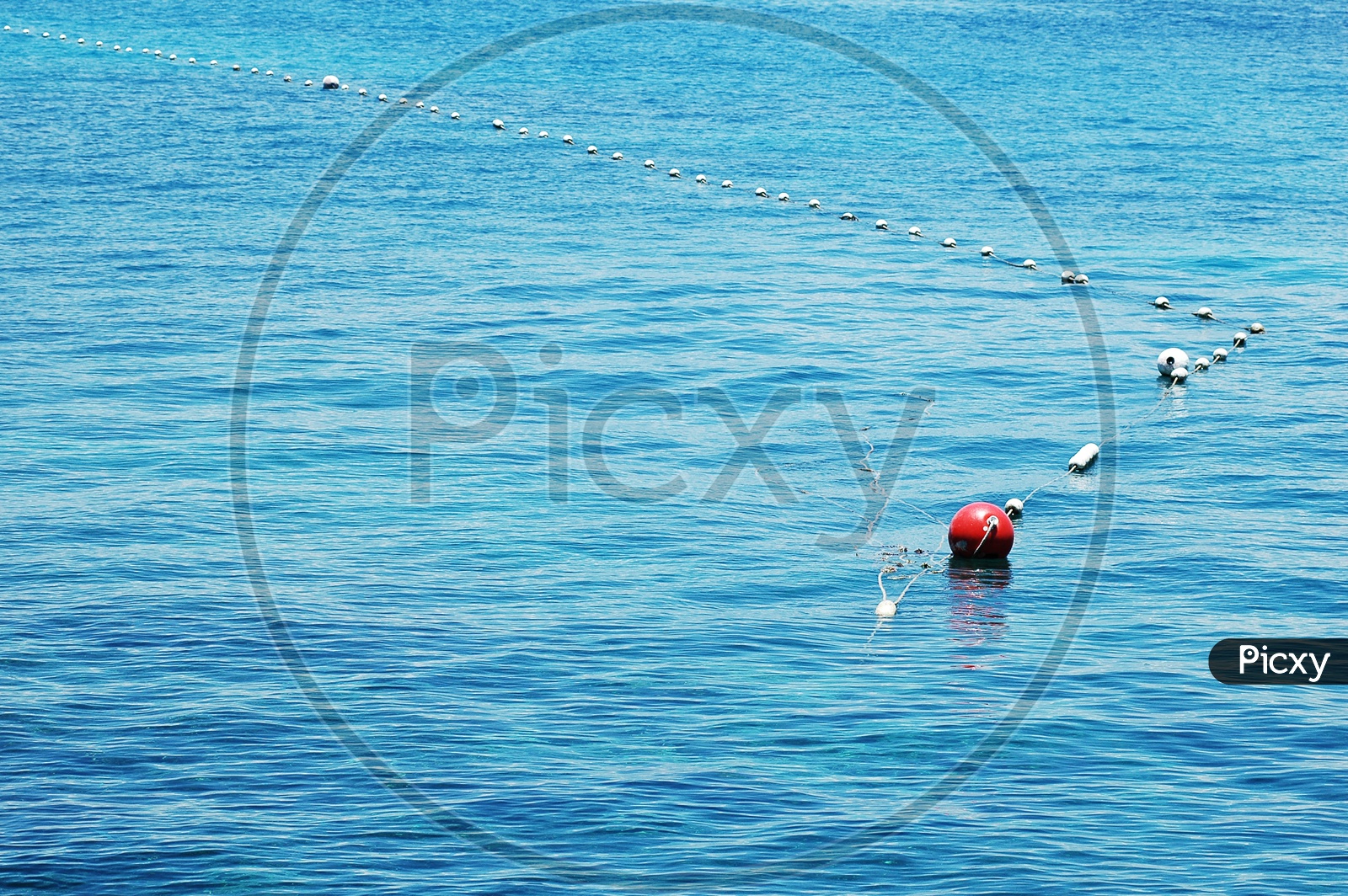 Buoy Lines In Sea Water