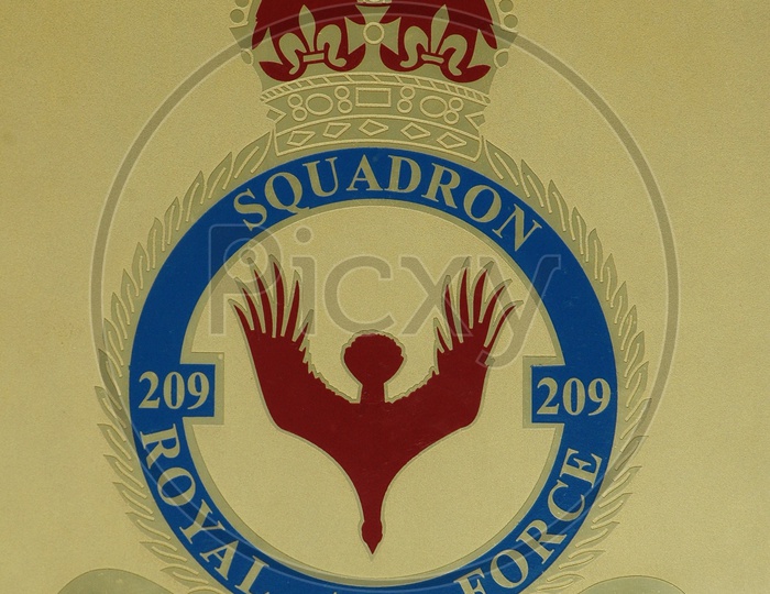 Royal Air Force 209  Squadron