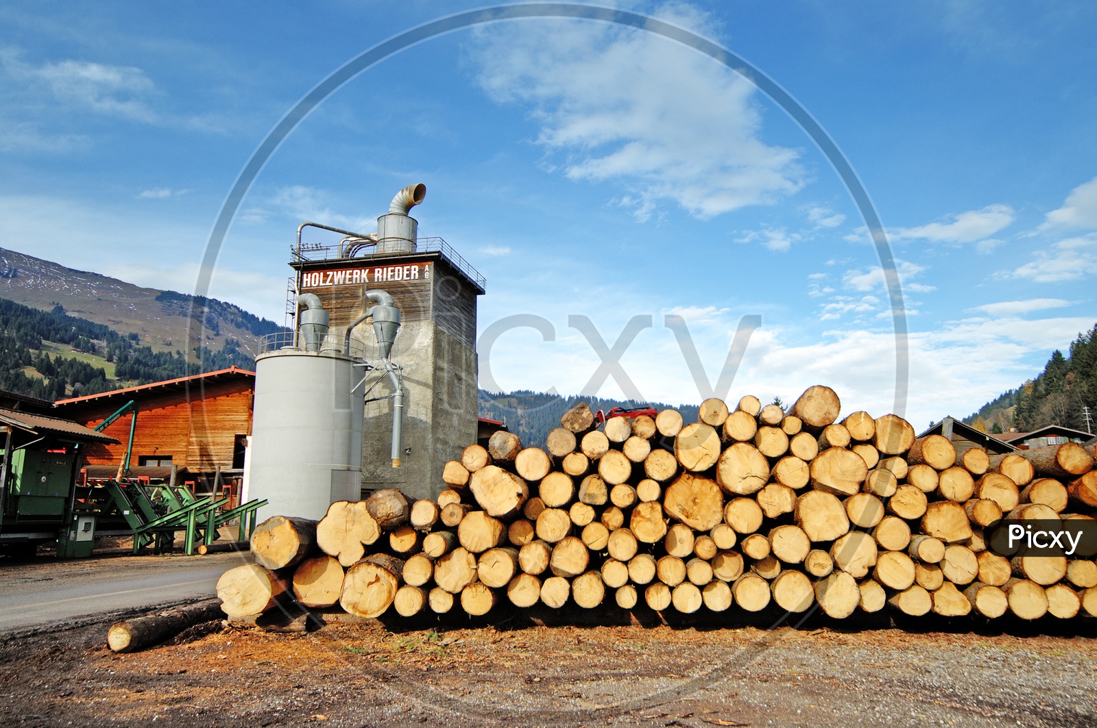 Wooden Logs in a  Wood Depot