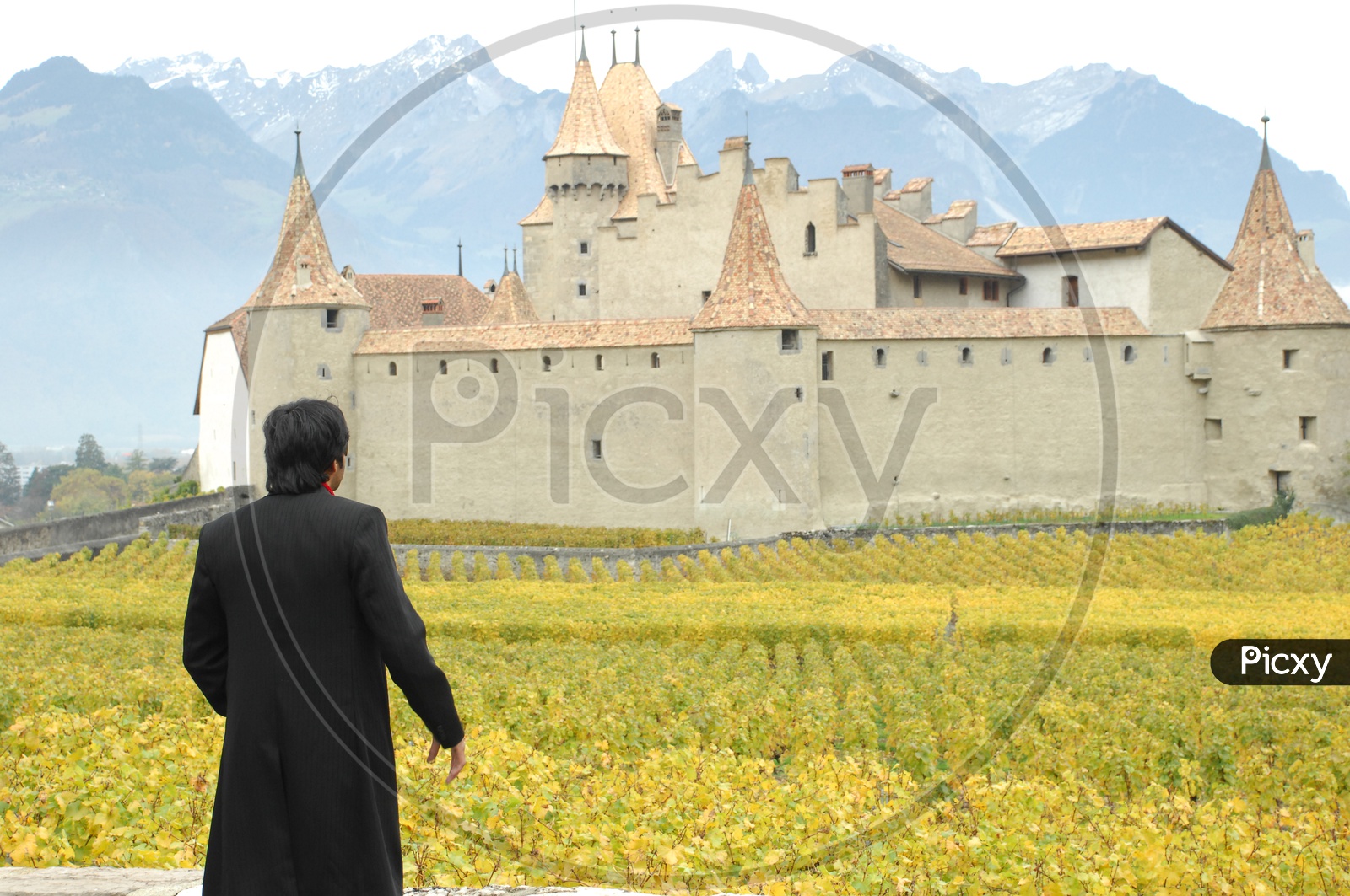 A Man Looking at Aigle Castle