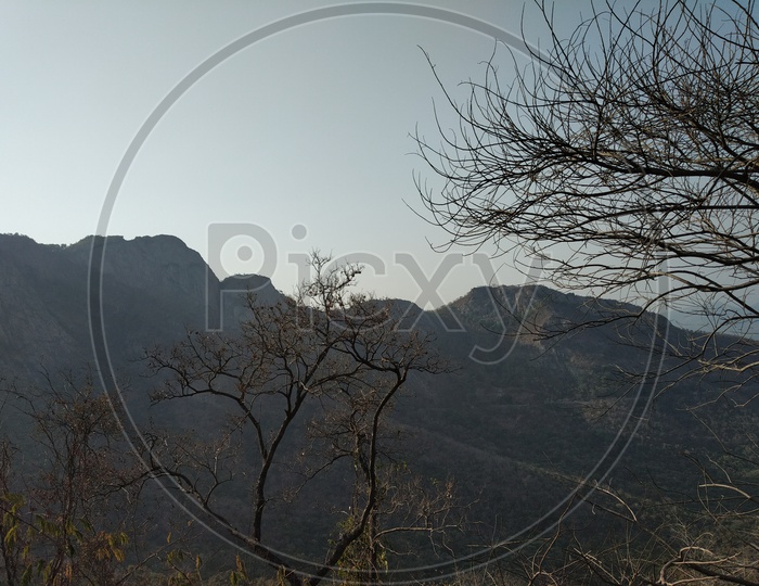 Landscape of Tirumala Hills