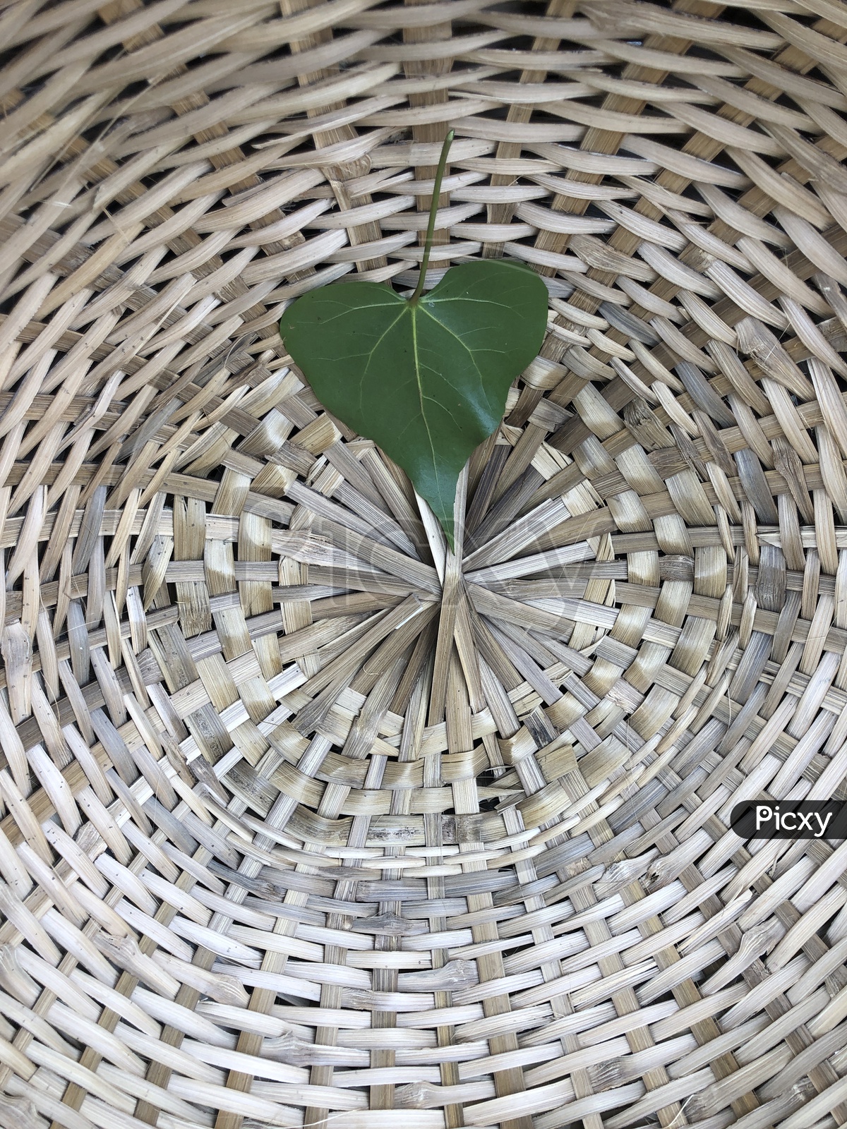 Leaf on the bamboo basket