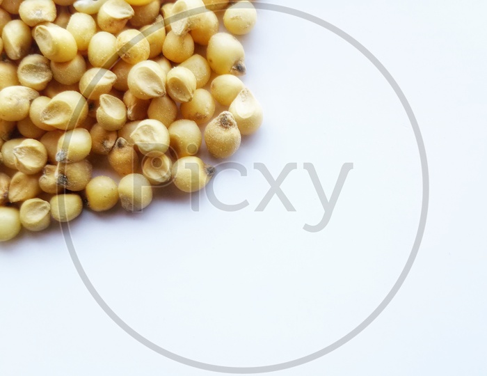Sorghum grain isolated on white background.shot from above. Copy space for writing