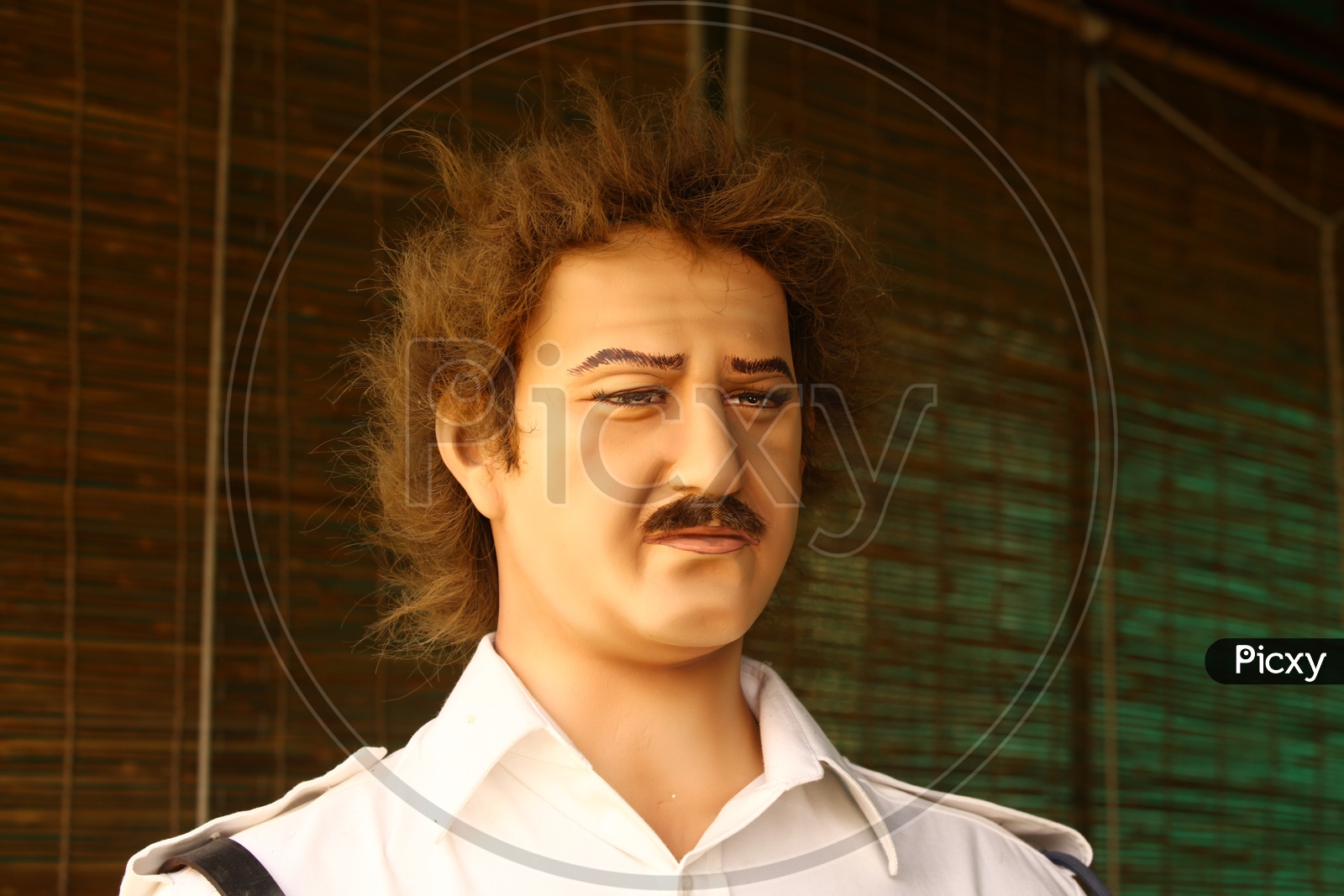 A Male Mannequin with frizzy hair