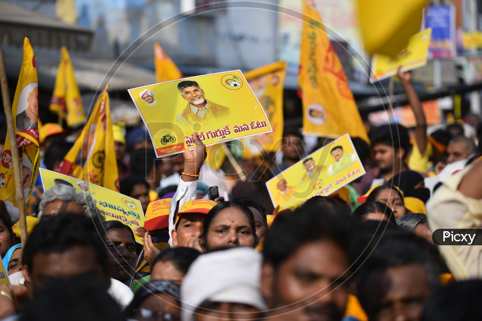 TDP party workers holding Placards of Chandra Babu Naidu and TDP party Flags