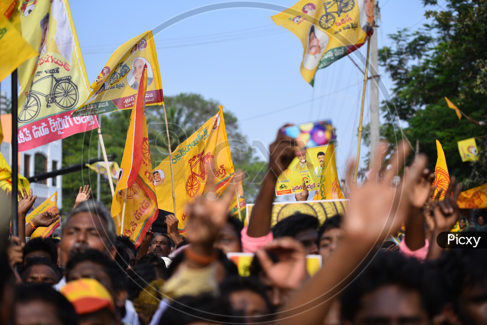 TDP party workers holding Placards of Chandra Babu Naidu and TDP party Flags