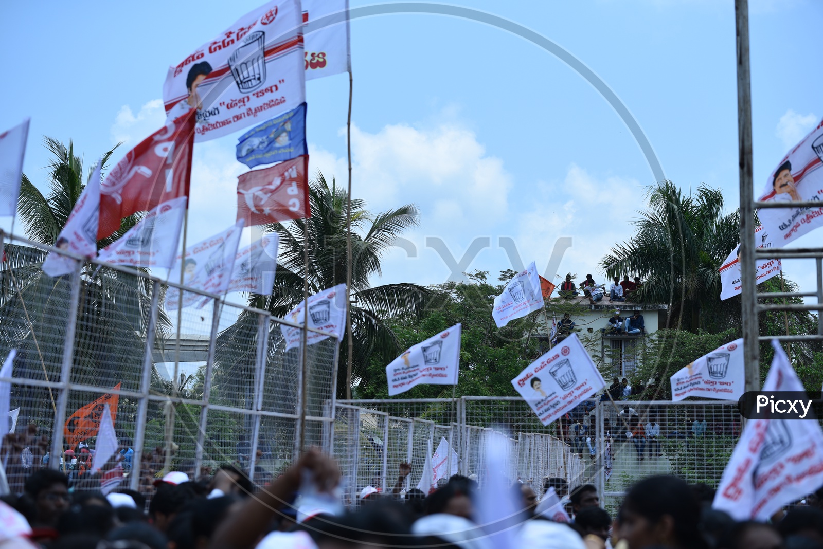CPI, CPM, BSP and Jana sena  party flags at an election campaign in Amalapuram