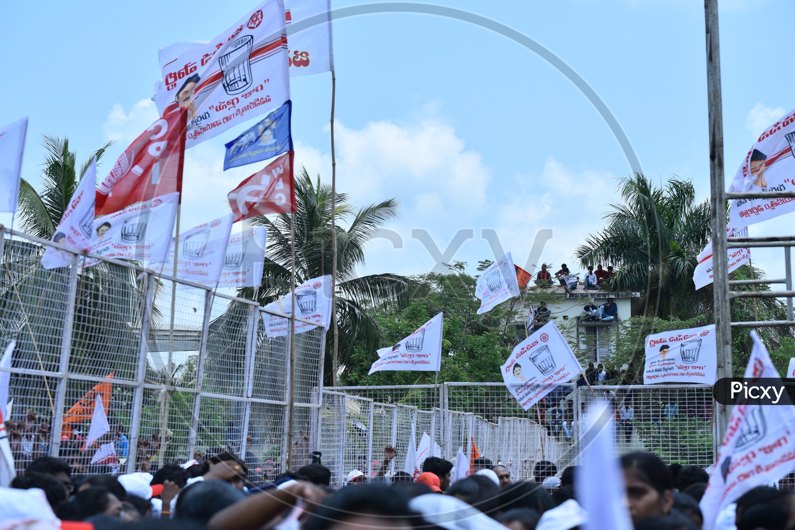 Jana sena party supporters sitting on top of a nearby to witness the election campaign event