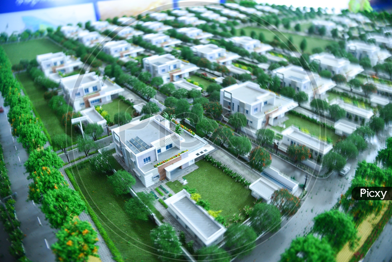 Residential Colony For  VIP  Model Scale  Miniature Presentation