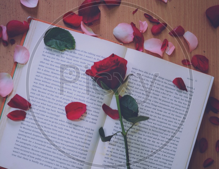 A Rose Flower Over a Book With Flower Petals