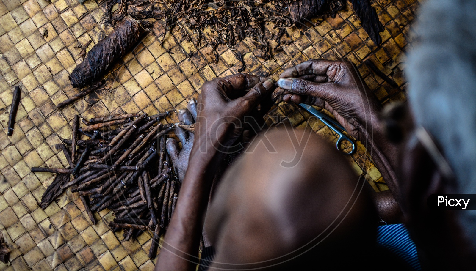 An Oldman Making Cigars From Tobacco