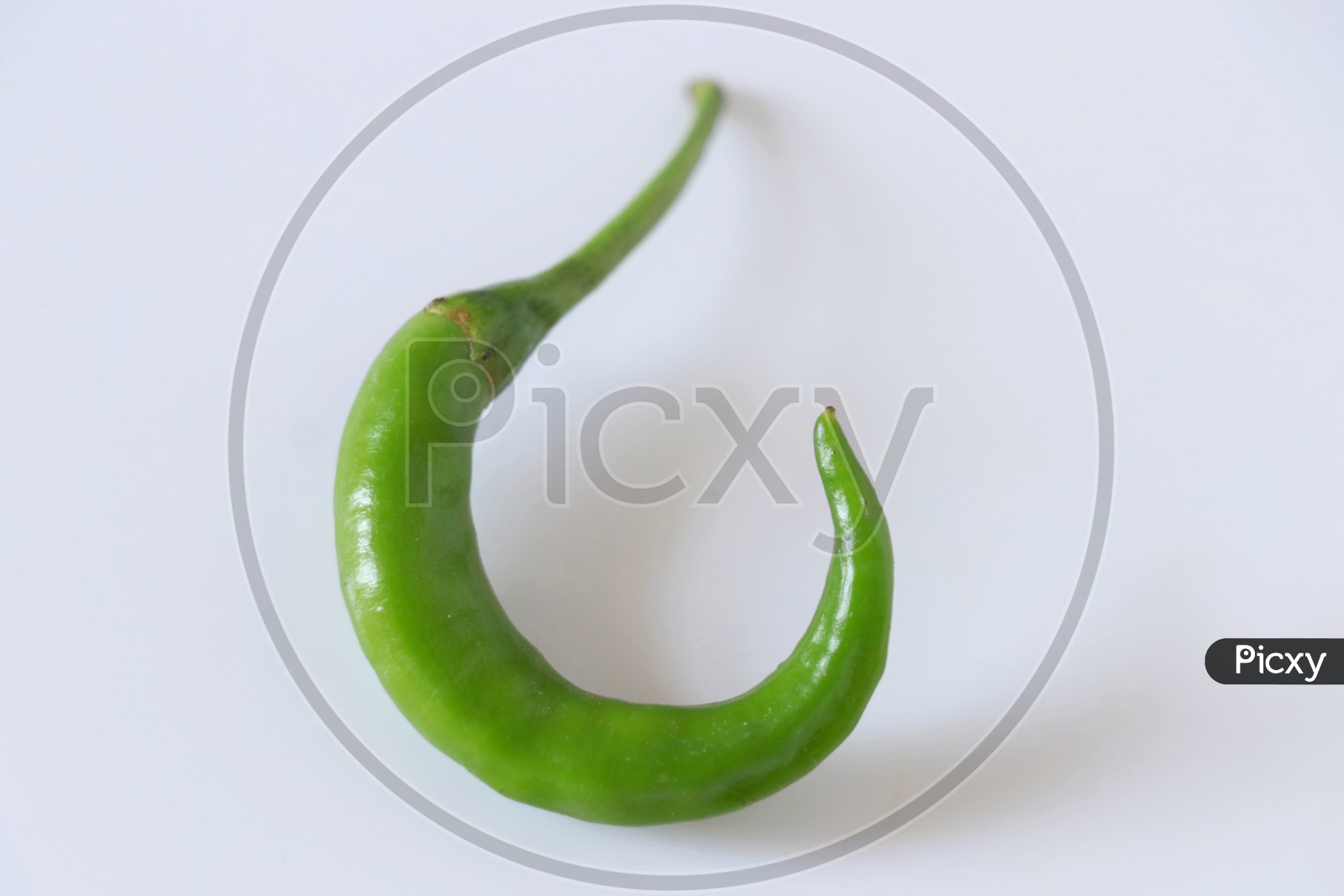 Green chilli isolated on a white background