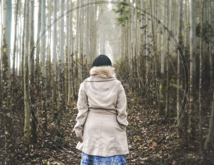 A Woman Lonely In a eucalyptus Farm
