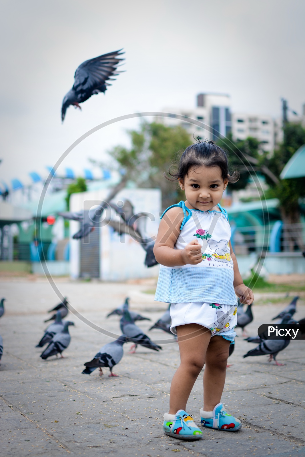 A Cute Indian Girl Child At Pigeons On Roadside
