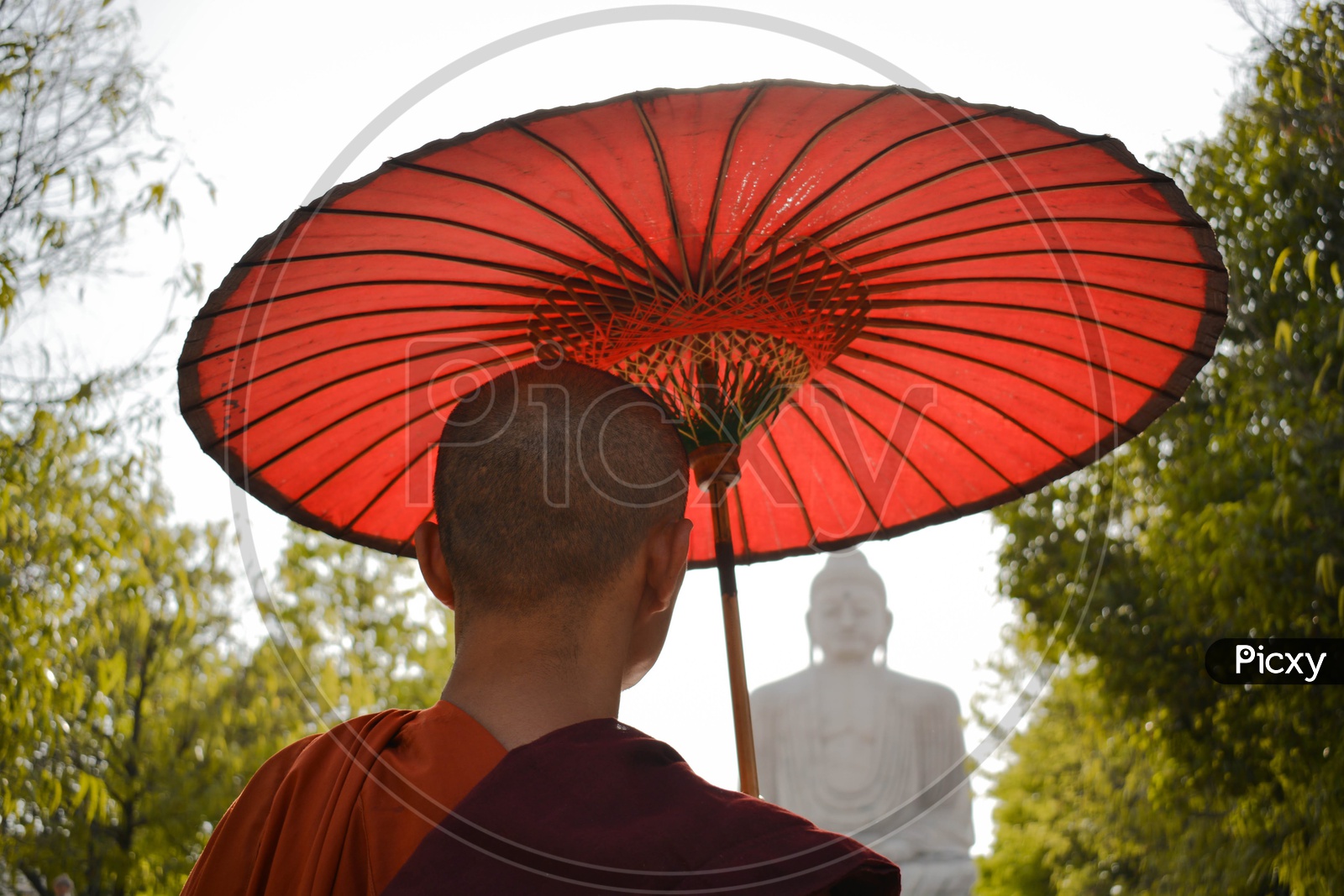 Buddhist Monks With Red Umbrella